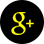 Google Plus